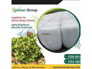 Good Quality Maize Silage
